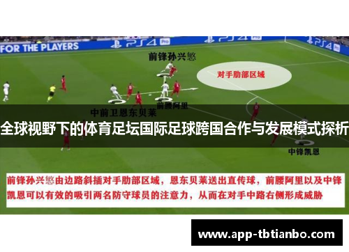 全球视野下的体育足坛国际足球跨国合作与发展模式探析 全球视野下的体育足坛国际足球跨国合作与发展模式探析