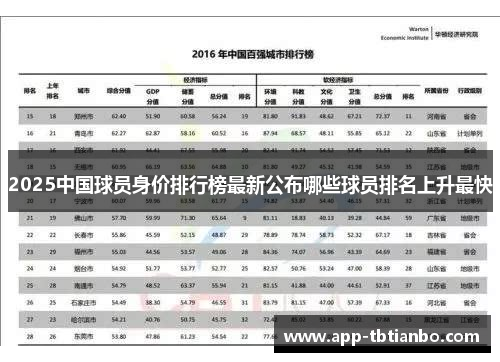 2025中国球员身价排行榜最新公布哪些球员排名上升最快 2025中国球员身价排行榜最新公布哪些球员排名上升最快