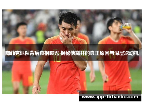 陶菲克退队背后真相曝光 揭秘他离开的真正原因与深层次动机