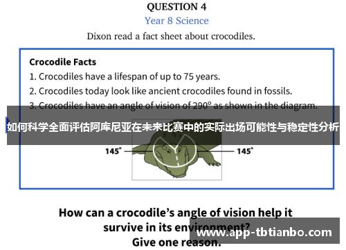 如何科学全面评估阿库尼亚在未来比赛中的实际出场可能性与稳定性分析